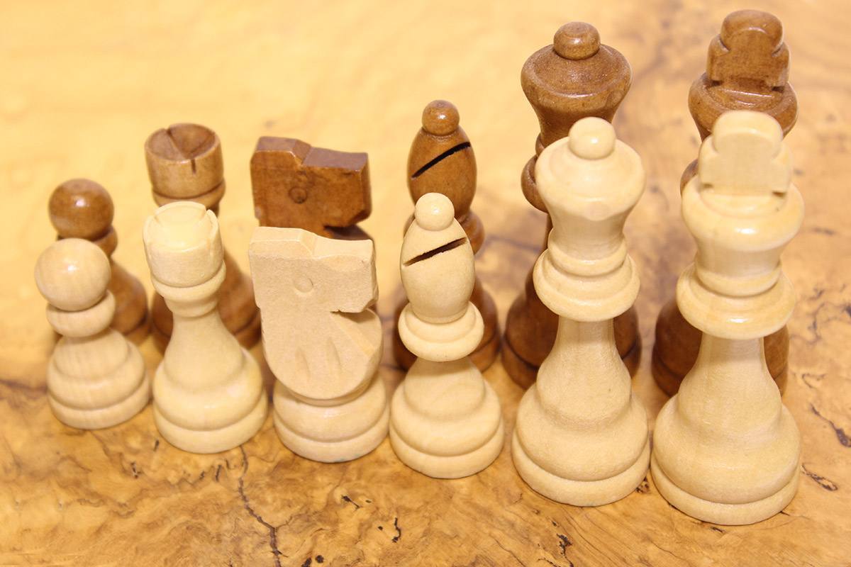 ΠΙΟΝΙΑ ΞΥΛΙΝΑ