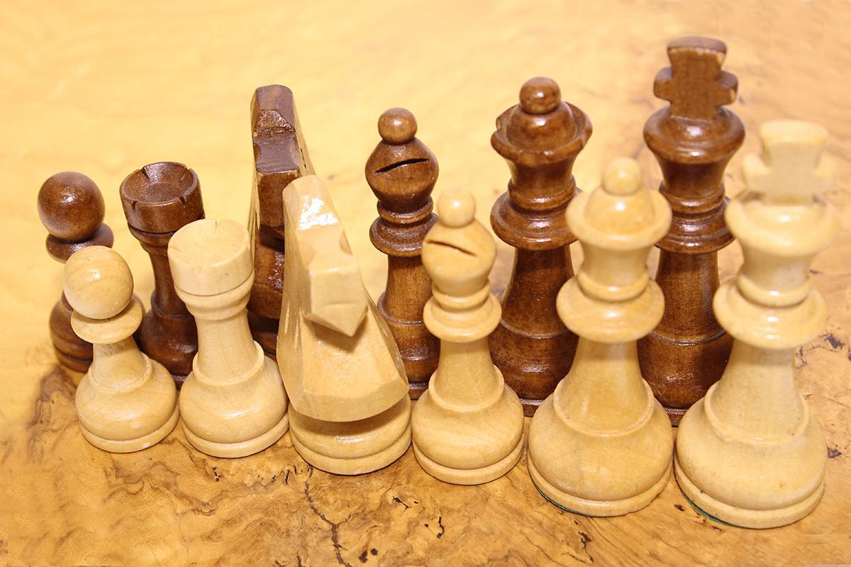 ΠΙΟΝΙΑ ΞΥΛΙΝΑ